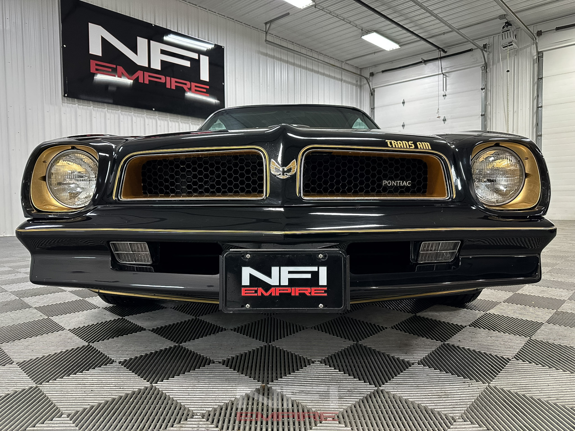 1976 Pontiac Firebird 14
