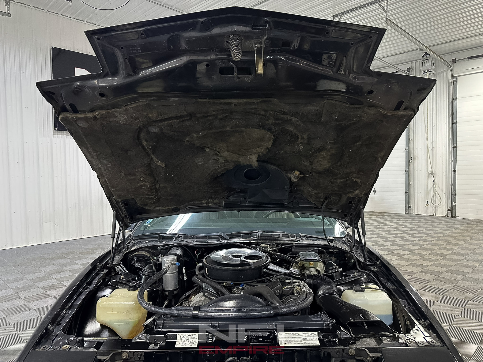1983 Pontiac Firebird 37