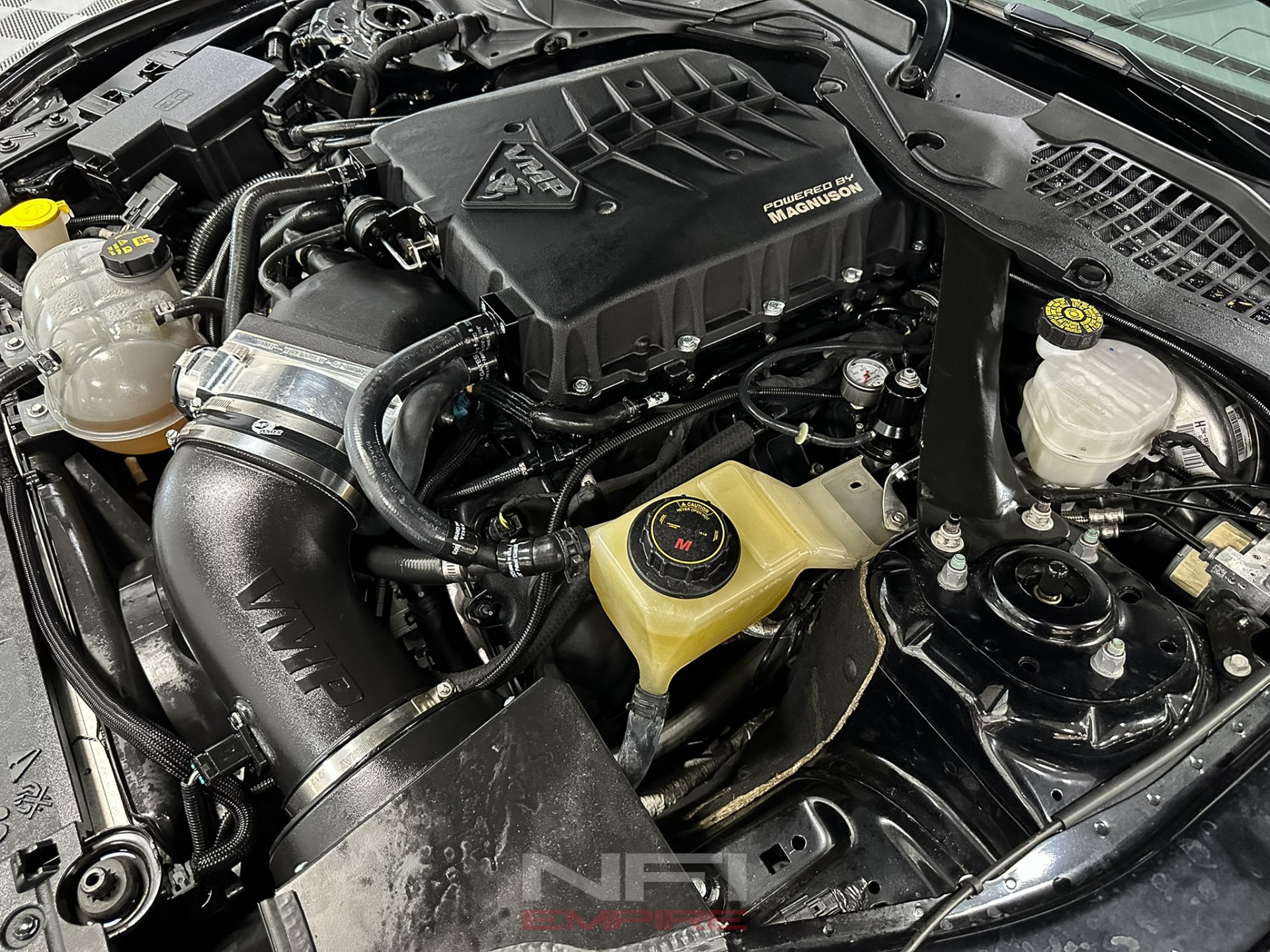 2019 Ford Mustang 45