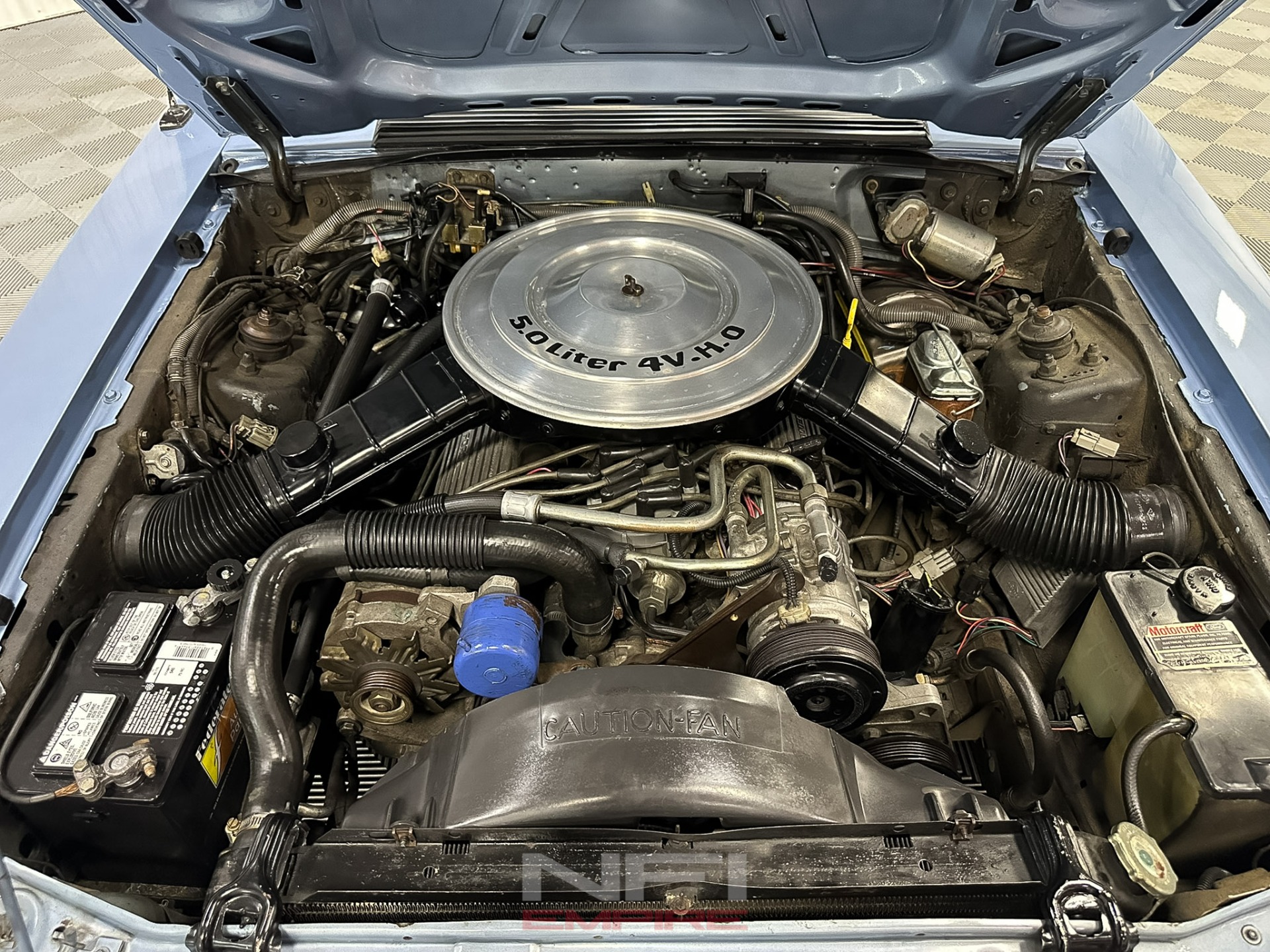 1984 Ford Mustang 50