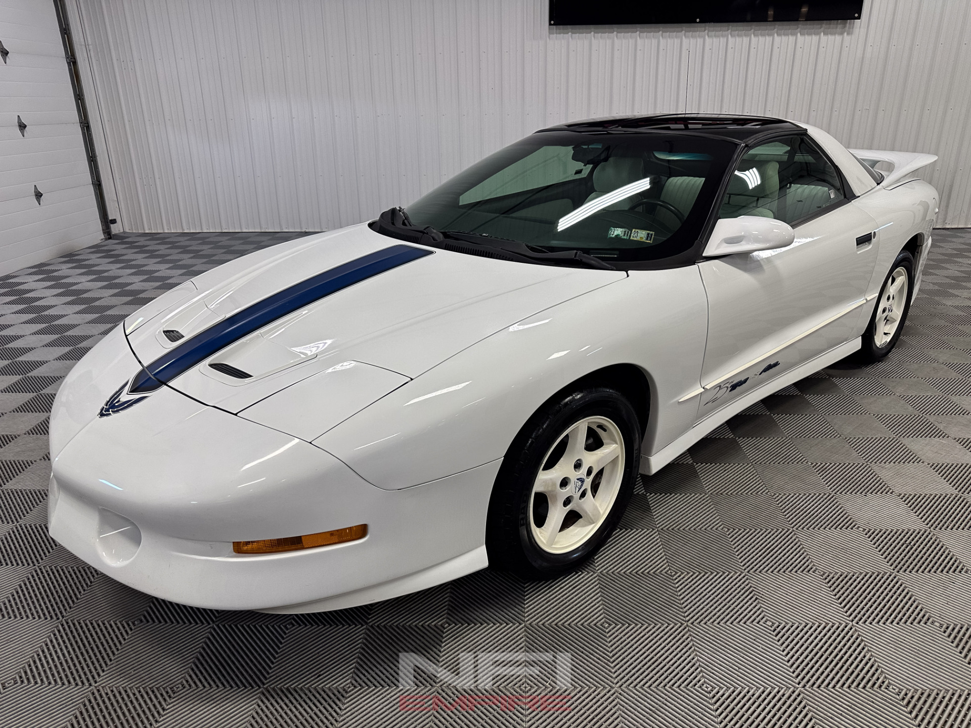 1994 Pontiac Firebird 3